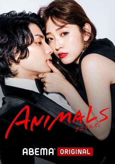 ANIMALS Poster