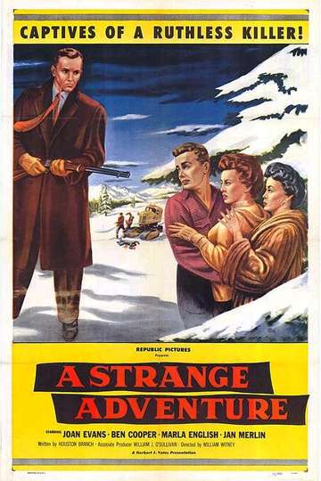 A Strange Adventure Poster