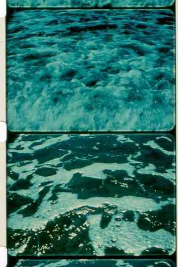 A Child’s Garden and the Serious Sea poster