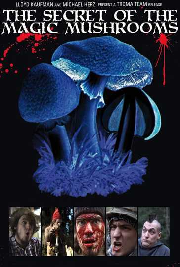 The Secret of the Magic Mushrooms Poster