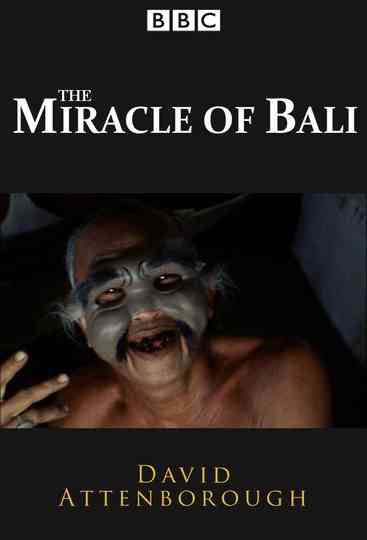 The Miracle of Bali Poster