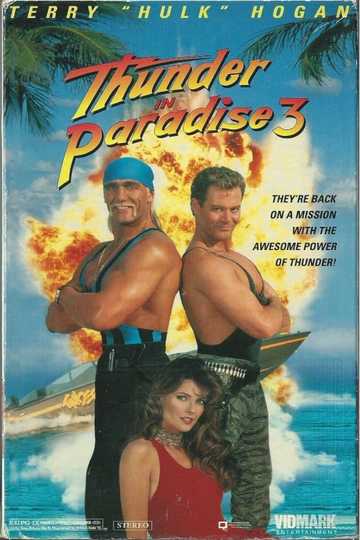 Thunder in Paradise 3 Poster