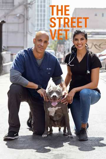 The Street Vet