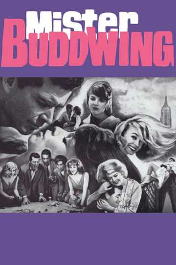 Mister Buddwing Poster