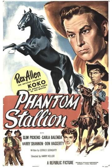 Phantom Stallion Poster