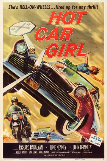 Hot Car Girl Poster