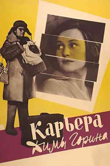 Dima Gorin's Career