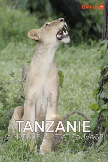 Tanzanie, la nature à l'état sauvage