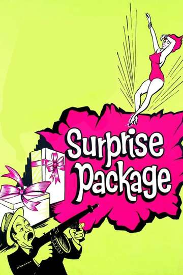 Surprise Package Poster