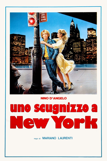 Neapolitan Boy in New York Poster