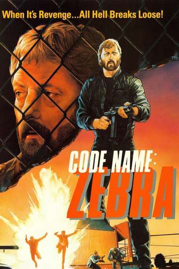 Code Name Zebra Poster