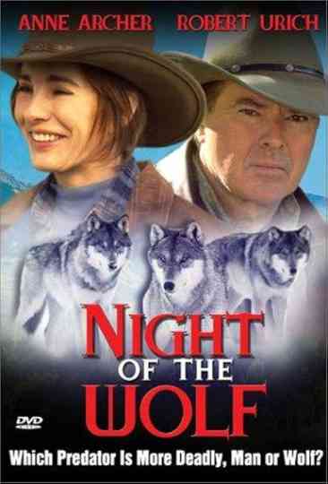 Night of the Wolf Poster