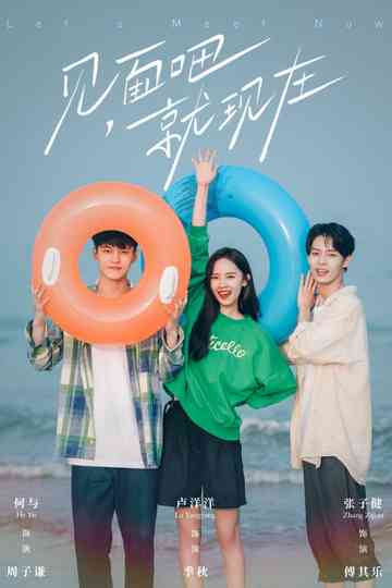 Let's Meet Now poster