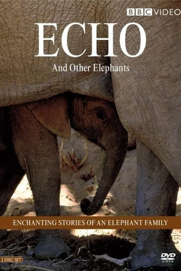 Echo of the Elephants