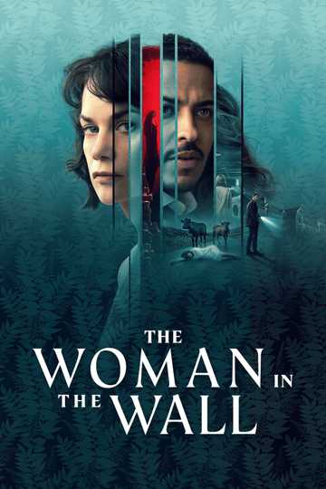 The Woman in the Wall Poster