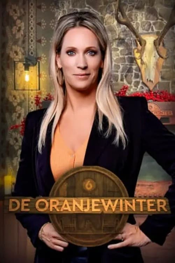 De Oranjewinter Poster