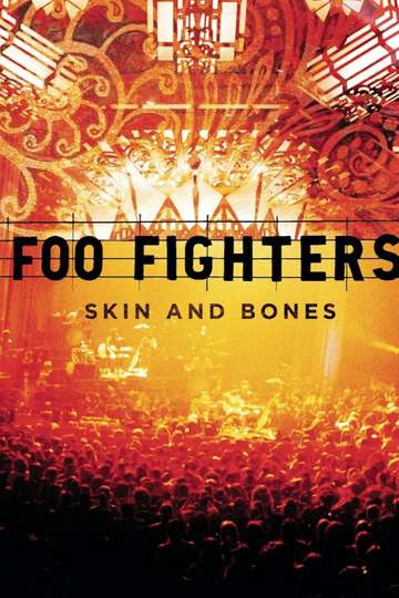 Foo Fighters Skin and Bones
