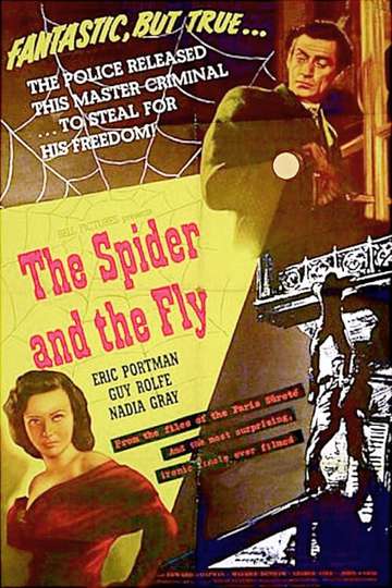The Spider and the Fly Poster
