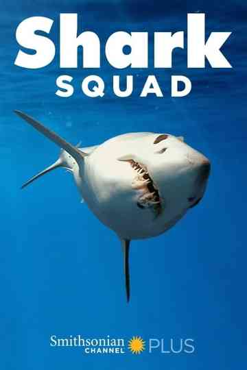Shark Squad Poster