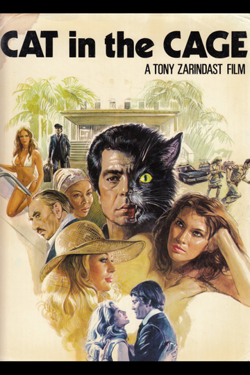 Cat in the Cage Poster