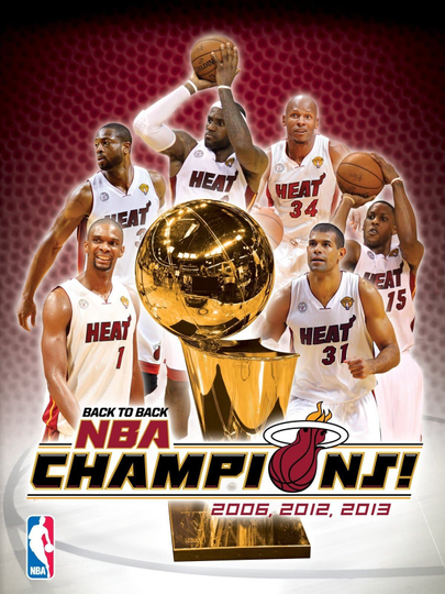 2013 NBA Champions Miami Heat