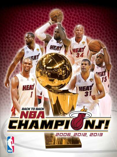 2013 NBA Champions Miami Heat Poster