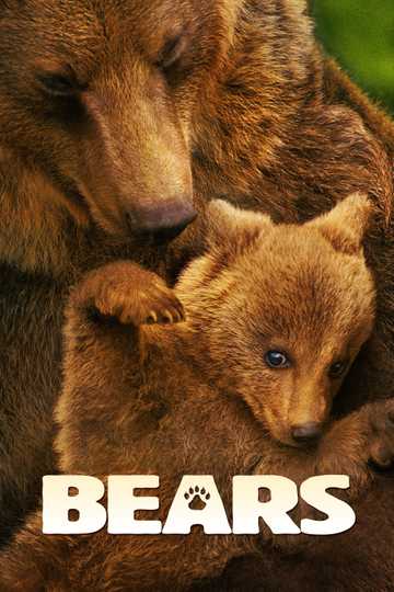 Bears Poster