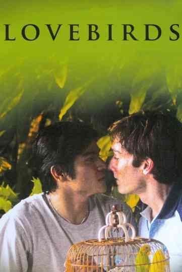 Lovebirds Poster