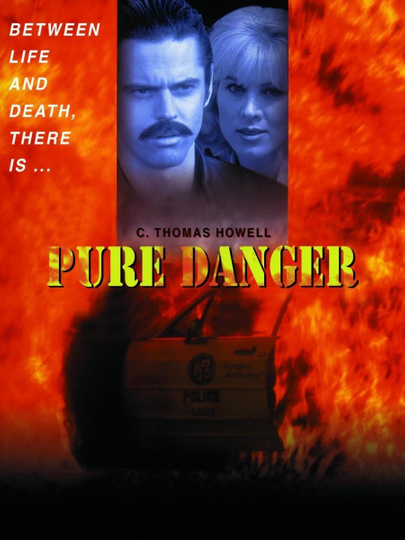 Pure Danger Poster