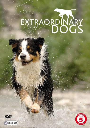 Extraordinary Dogs