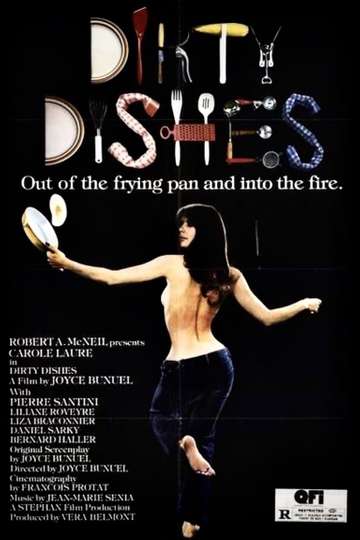 Dirty Dishes Poster