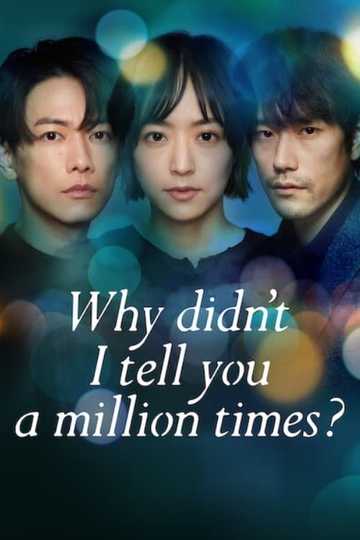 Why Didn't I Tell You a Million Times? Poster