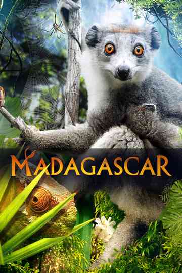 Madagascar 3D Poster
