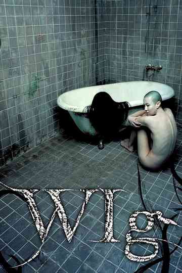 The Wig poster
