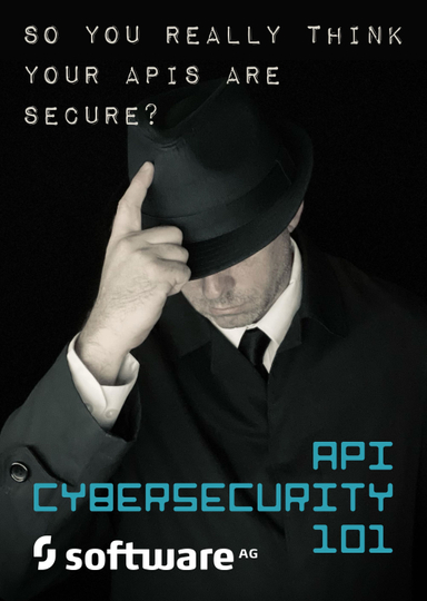 API Cybersecurity 101