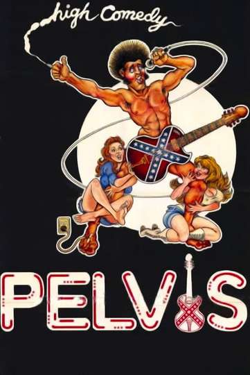Pelvis Poster