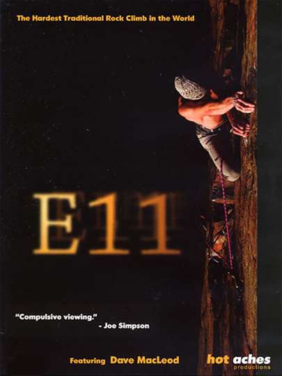 E11 Poster