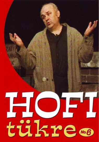Hofi tükre No6