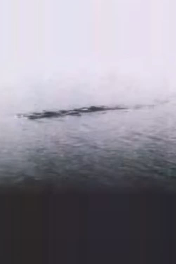 The Loch Ness Monster Proof at Last