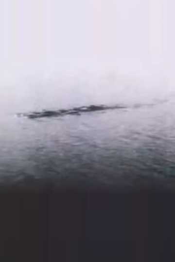 The Loch Ness Monster Proof at Last