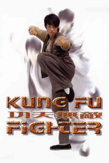Kung Fu Fighter