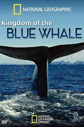 Kingdom of the Blue Whale Poster