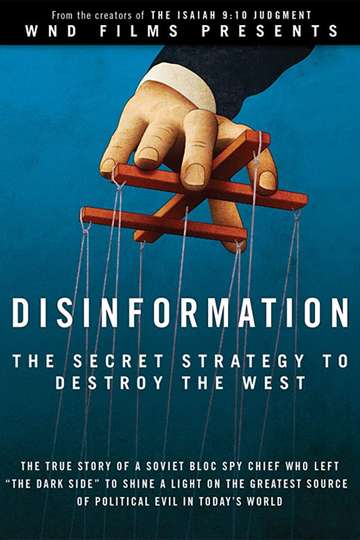Disinformation Poster
