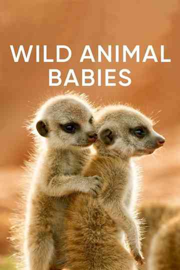 Wild Animals Babies Poster