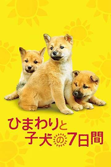 7 Days of Himawari & Her Puppies Poster