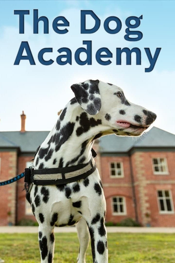 The Dog Academy