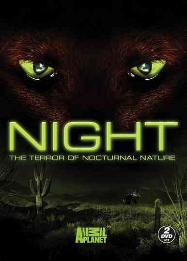 Night