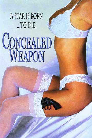 Concealed Weapon Poster