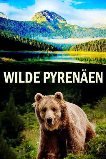Wild Pyrenees