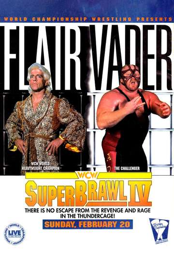 WCW SuperBrawl IV Poster